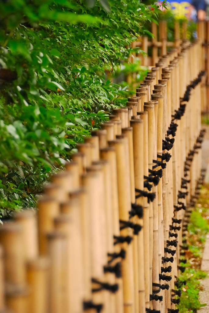 Bamboo Fence