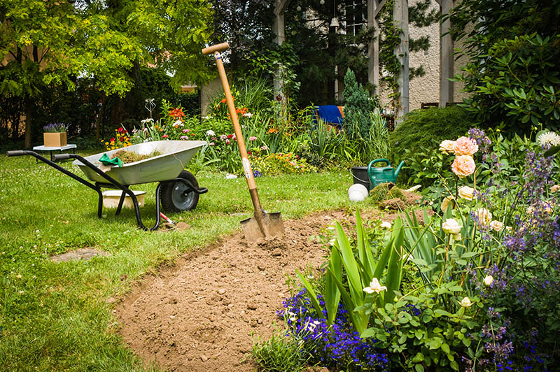 Flower Bed