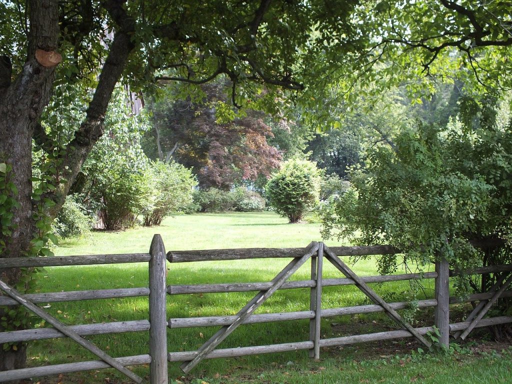 Split Rail Fence