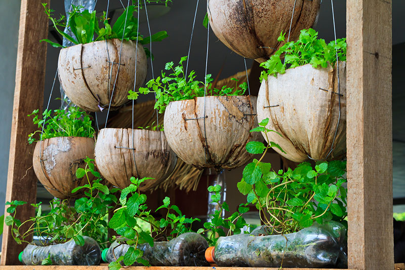 Recycled Grow Bags for Backyard Veggies: A New Raised Bed Style