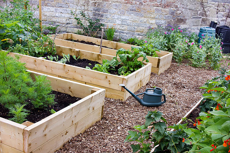 How To Make a Raised Bed Garden