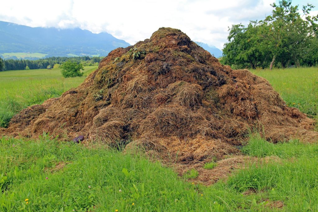 Compost heap