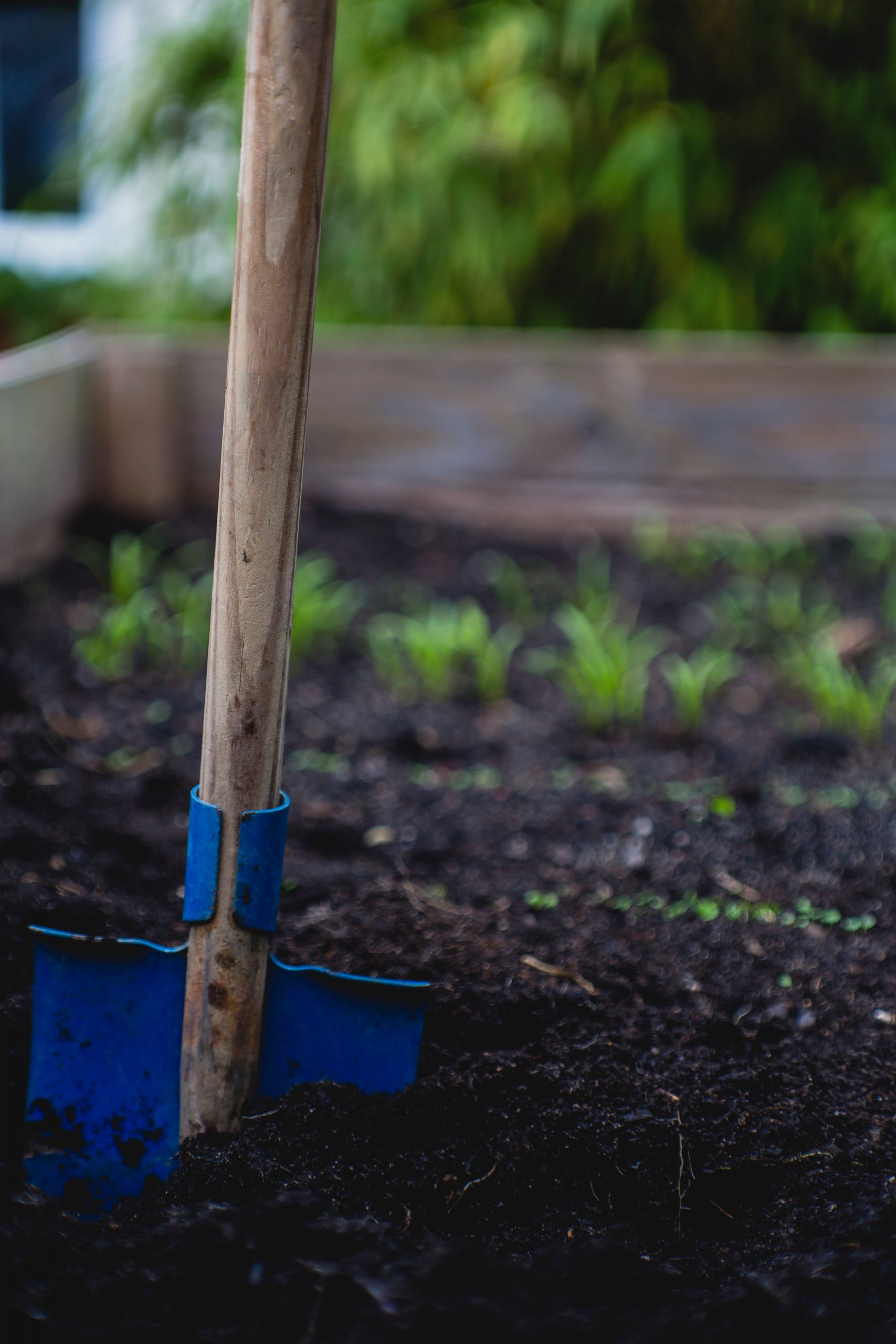 Shovel and soil