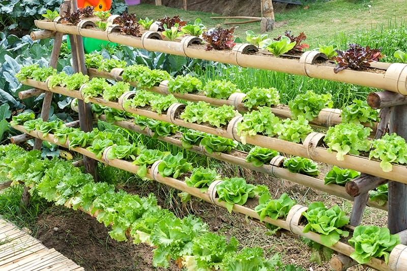 Diy Vertical Hydroponic Tower