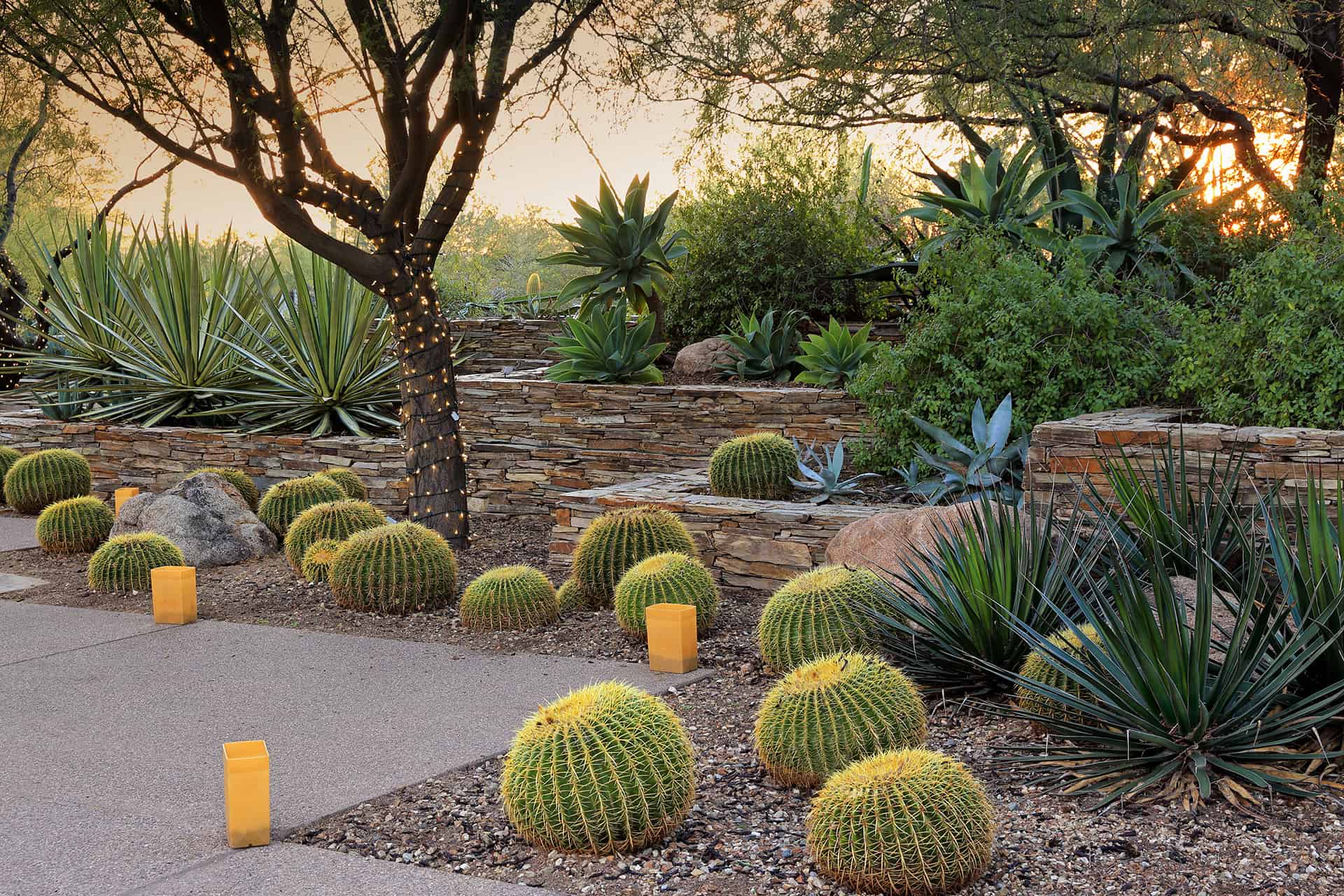 Desert Landscaping Ideas