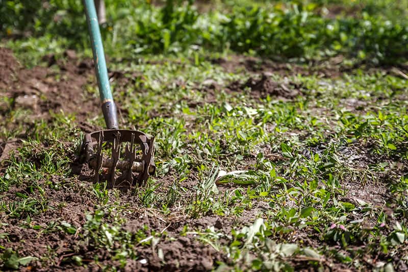 Hand Tiller in the Garden