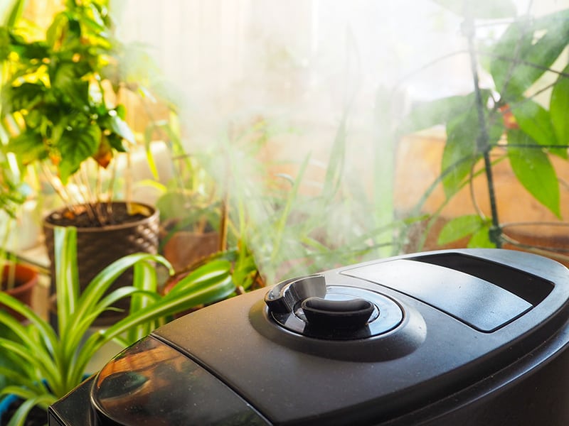 Best Humidifier For Nest Thermostat —