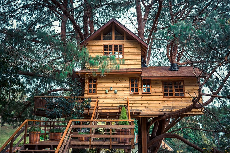 13 Simple Treehouse Ideas You Can Build For Your Kids This Weekend (Easy to  Expert Levels) | Trees.com