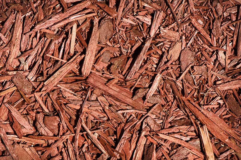 Cedar Mulch