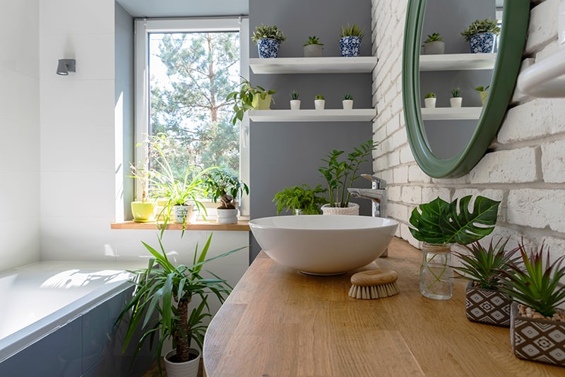 Bathroom Plants - Apartment Living 101 The 10 Best Plants For Bathrooms 6sqft - This list of plants for windowless bathroom is your answer!