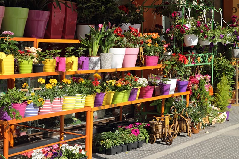 Online Gardening Stores