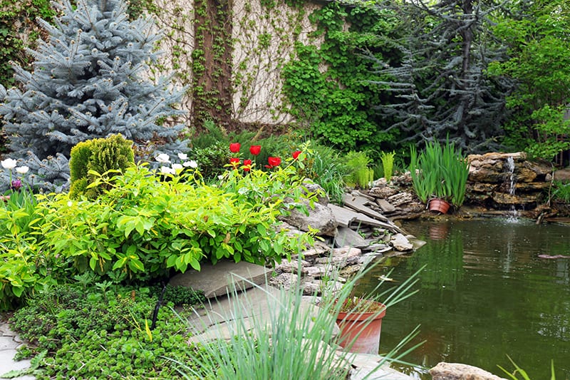 Backyard ground pond landscape design ideas