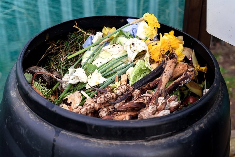 What Can You Compost?