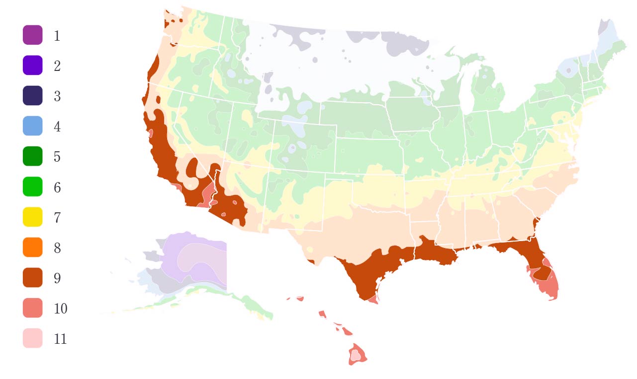 Avocado Growing Zone Map Avocado Trees Buying And Growing Guide Turnips 2 Tangerines