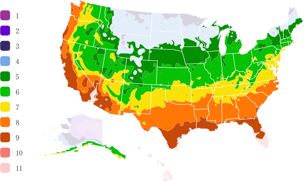 Cherry Tree Growing Zones cherry-tree-growing-zones