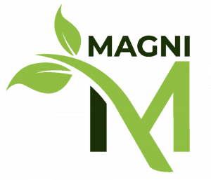 Magni Landscaping