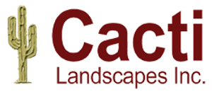 Cacti Landscapes