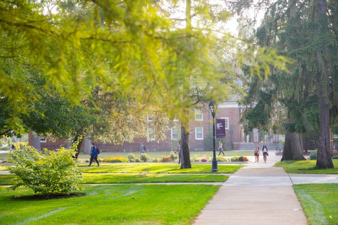 24. Albion College