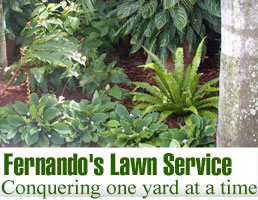 Fernando's Lawn Service