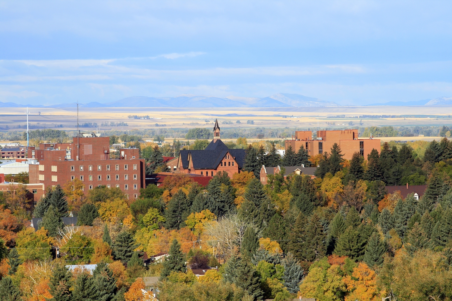 Montana State University Campus