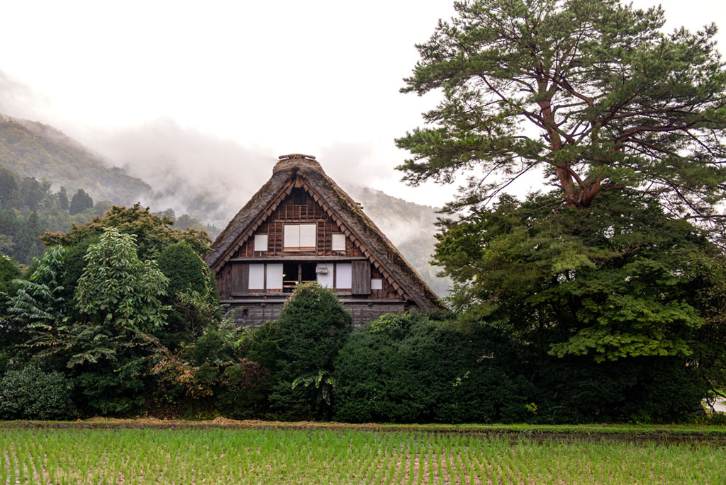 brown wooden house near green grass field and green trees