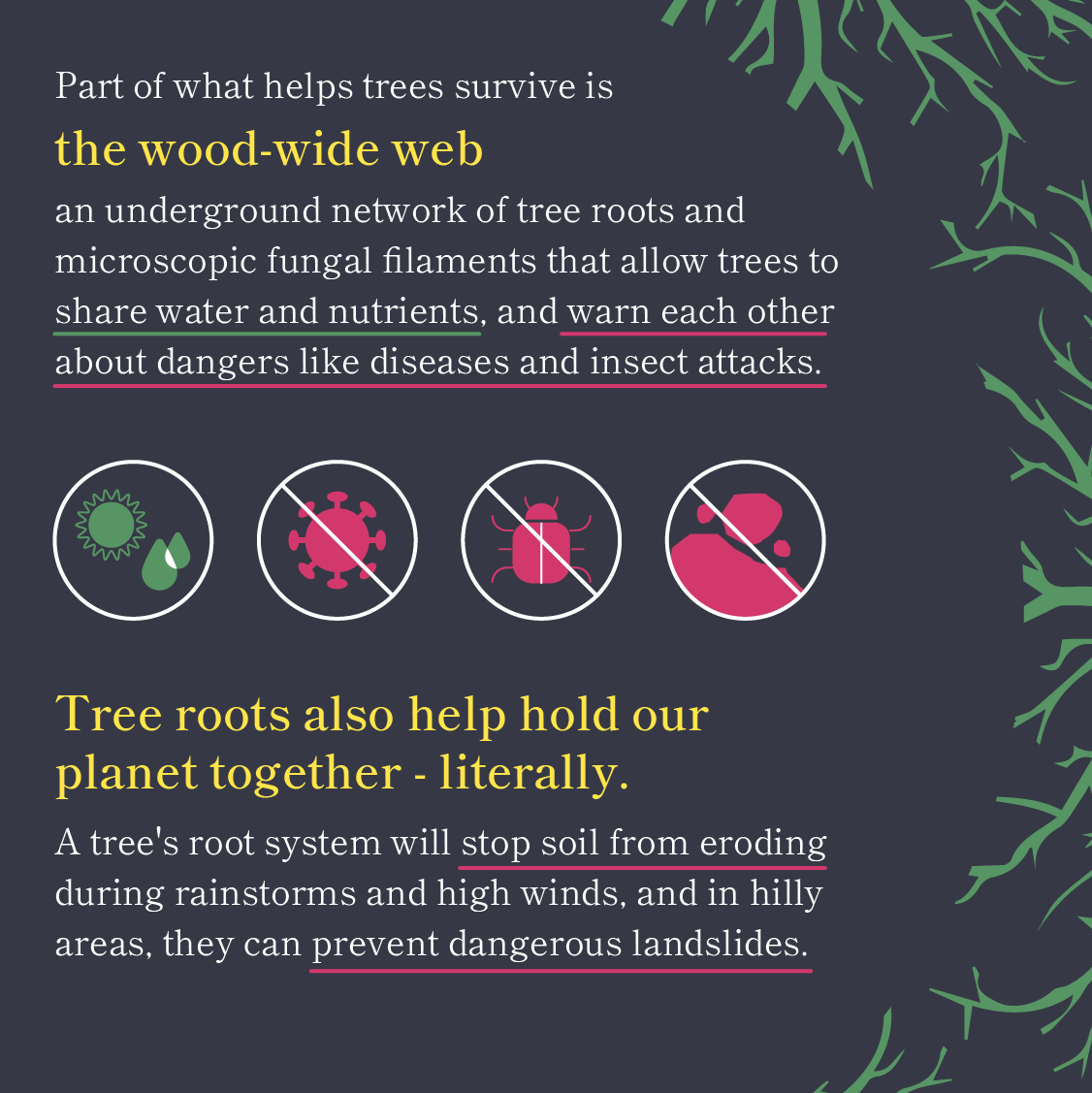 Why Trees are Awesome 2