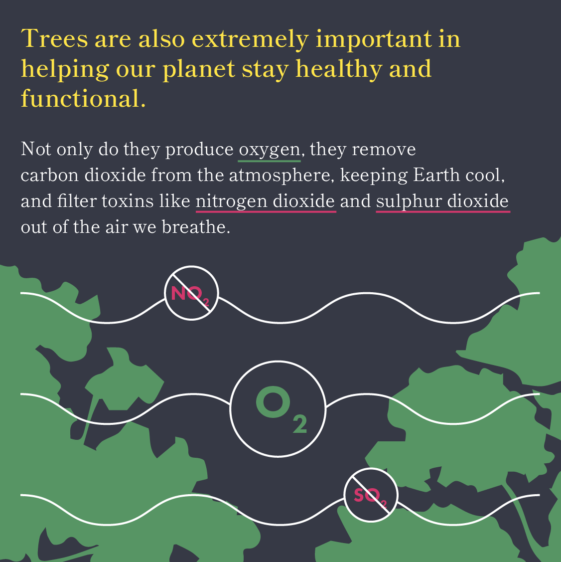 Why Trees are Awesome 4