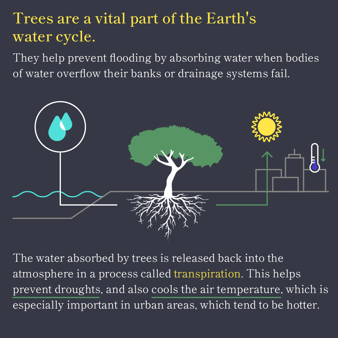 Why Trees are Awesome 5