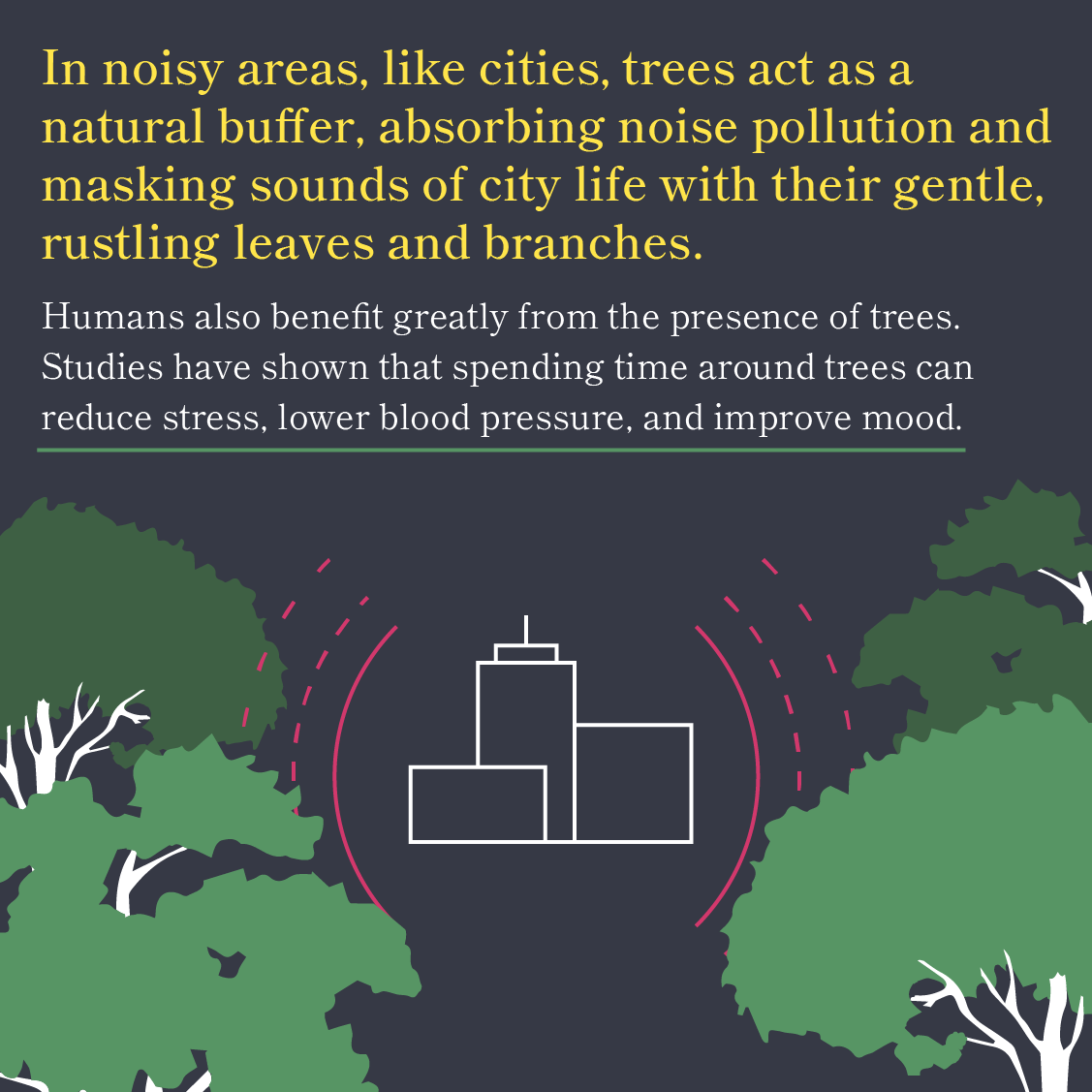 Why Trees are Awesome 6