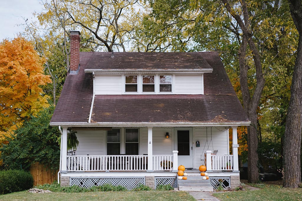 trees beside white and brown wooden house