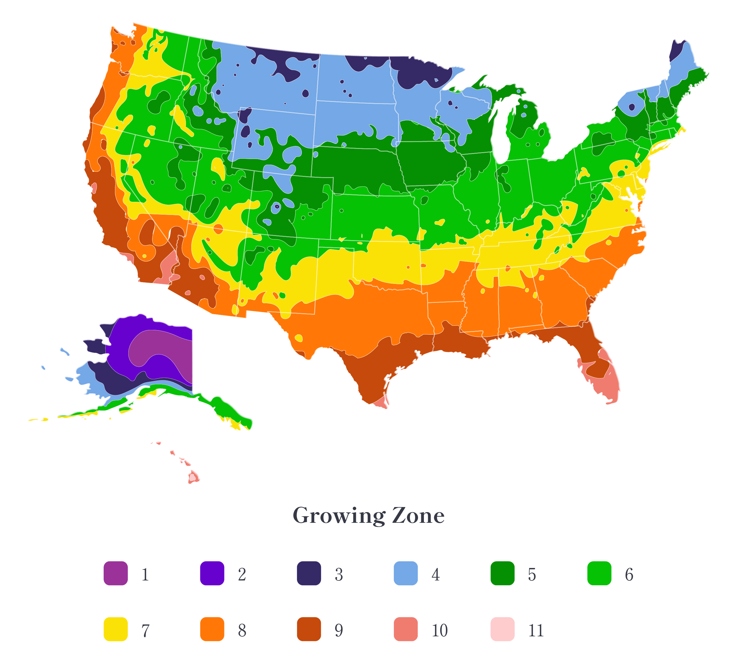 Japanese Maple Tree Care and Growing Tips