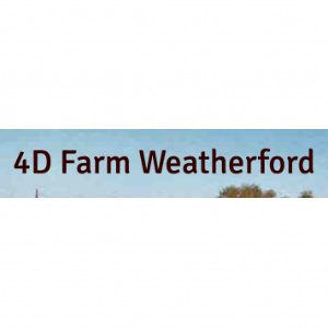 4D Christmas Tree Farm