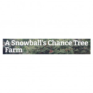 A Snowball_s Chance Tree Farm