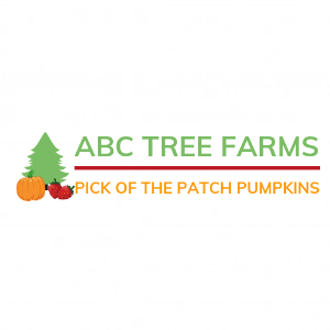 ABC Tree Farms _ Pick of the Patch Pumpkins