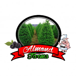 Almond Christmas Tree Farm