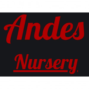 Andes Nursery