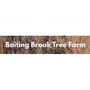 Baiting Brook Tree Farm