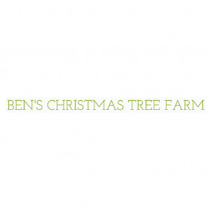 Ben_s Christmas Tree Farm