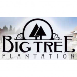 Big Tree Plantation Christmas Trees and Landscape Trees