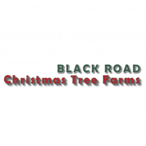 Black Road Christmas Tree Farms