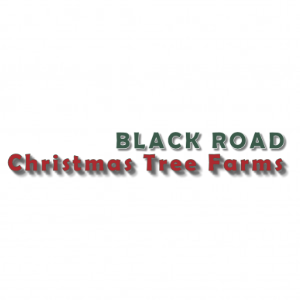 Black Road Christmas Tree Farms