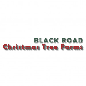 Black Road Christmas Tree Farms