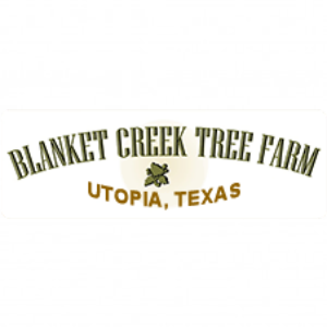 Blanket Creek Tree Farm of Utopia, Texas