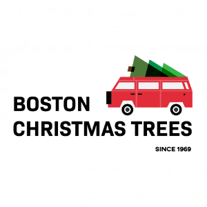 Boston Christmas Trees