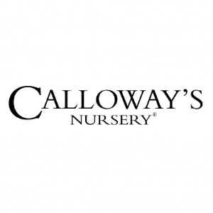 Calloway_s Nursery