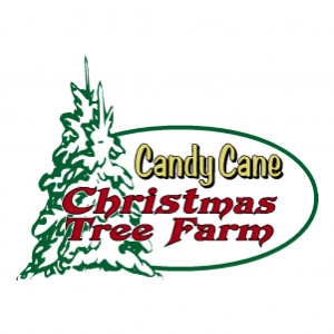 Candy Cane Christmas Tree Farm
