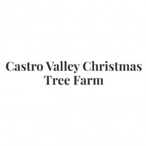 Castro Valley Christmas Tree Farm