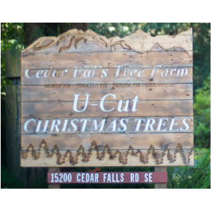 Cedar-Falls-Tree-Farm