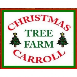 Christmas Carroll Tree Farm