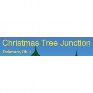 Christmas Tree Junction